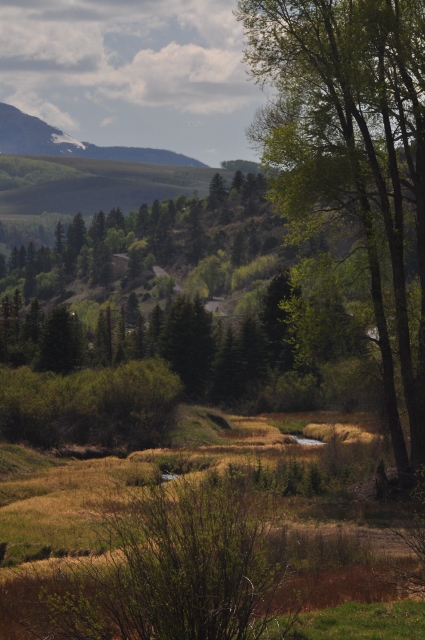 the Telluride Valley